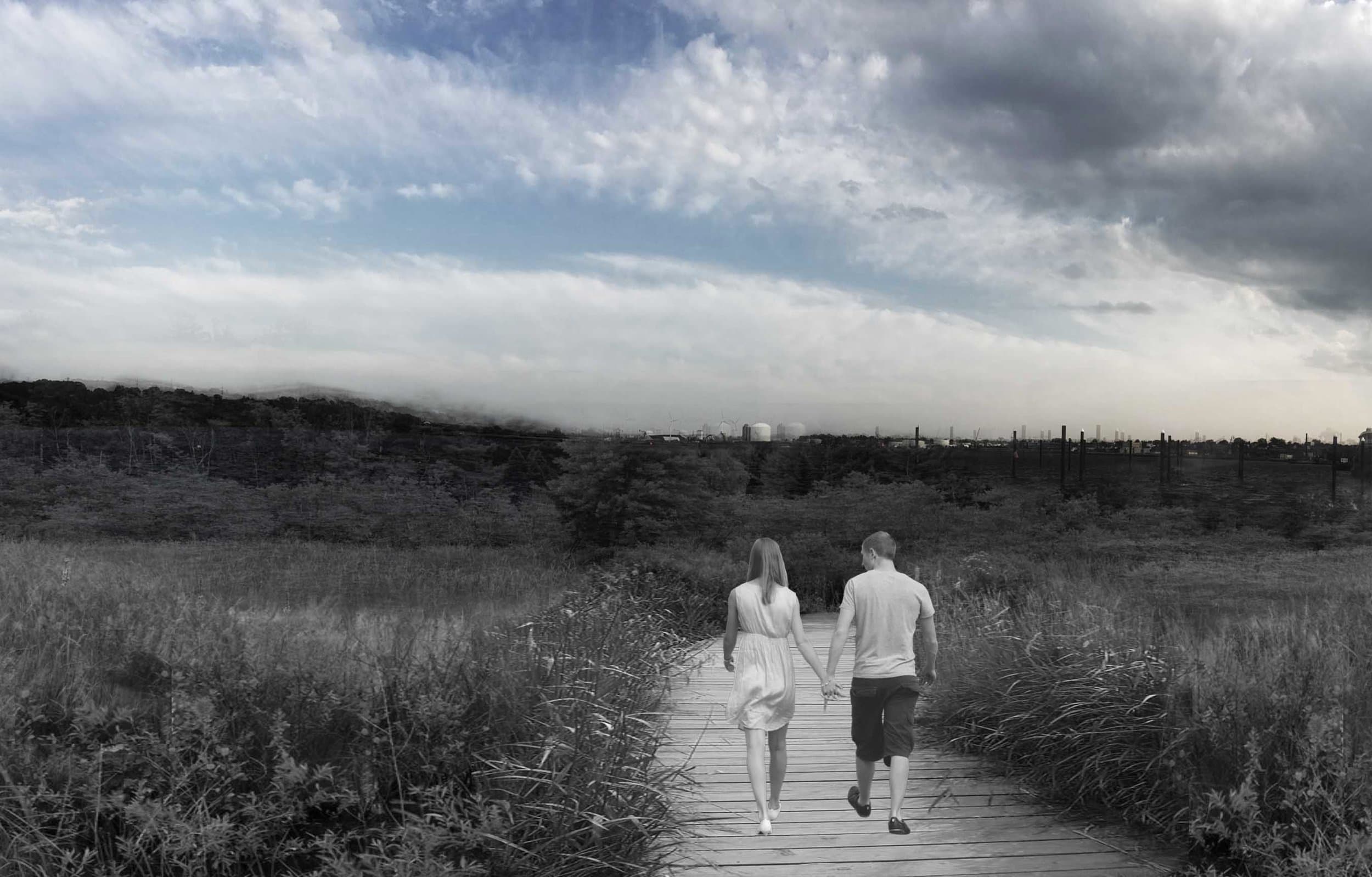 10_wetland