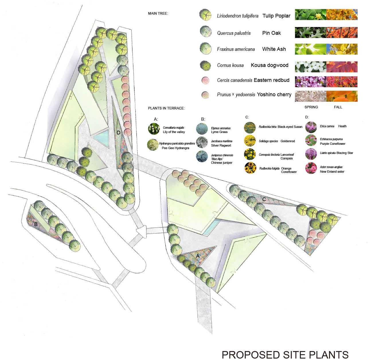 proposed site plants
